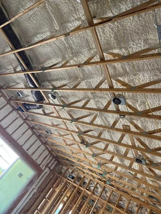 Attic Insulation